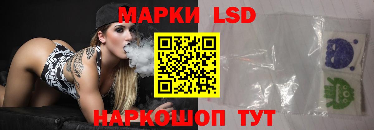 Галлюциногенные грибы Кингисепп