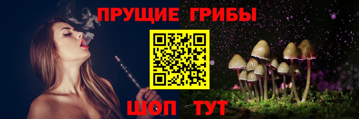 Псилоцибиновые грибы GOLDEN TEACHER Кингисепп